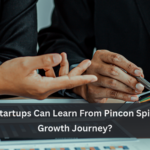 What New Startups Can Learn From Pincon Spirit Limited's Growth Journey